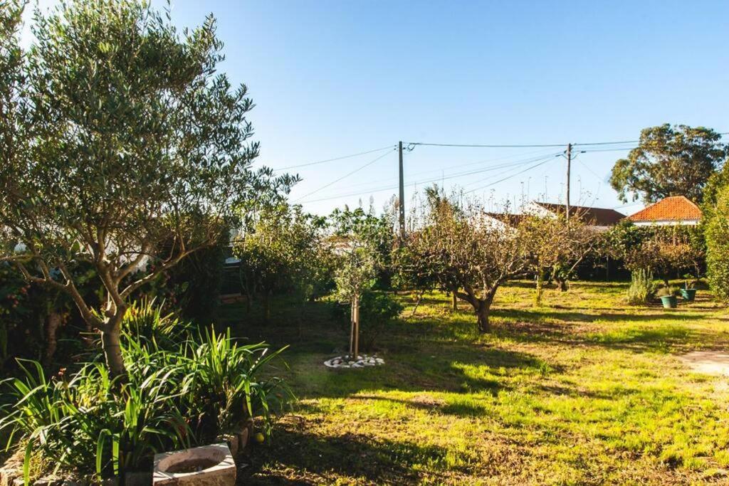 Casa Da Ti' Milia Villa Encarnacao Bagian luar foto